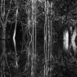 「Rio Negro」というタイトルの写真撮影 Anna Sowinskaによって, オリジナルのアートワーク, デジタル