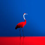 Fotografia intitulada "#1 - Colorful heron" por Eric Lespinasse, Obras de arte originais, Fotografia digital Montado em Alum…