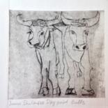 Printmaking titled "bulls" by Janna Shulrufer, Original Artwork, Engraving