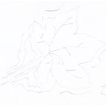 Drawing titled "Autumn Winds - Leaf…" by Scribblesnotscribbles, Original Artwork, Ballpoint pen