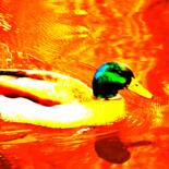 Photography titled "Duck 2" by Stéphanie Dambry, Original Artwork, Digital Photography