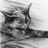 Tekening getiteld "Cat №2" door Yury Smirnov, Origineel Kunstwerk, Houtskool